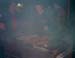 bild056
