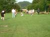 bild066